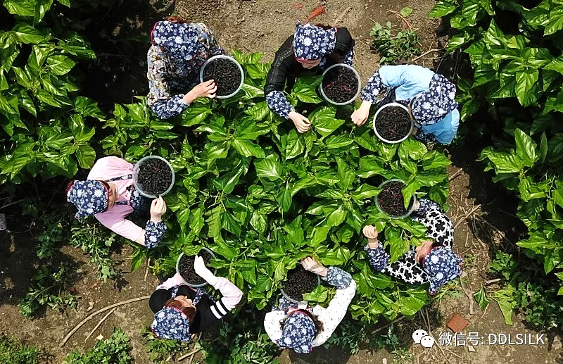 点击新窗口打开大图